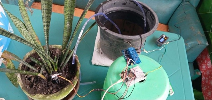 Smart Irrigation
